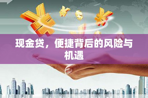 普兰现金贷，便捷背后的风险与机遇