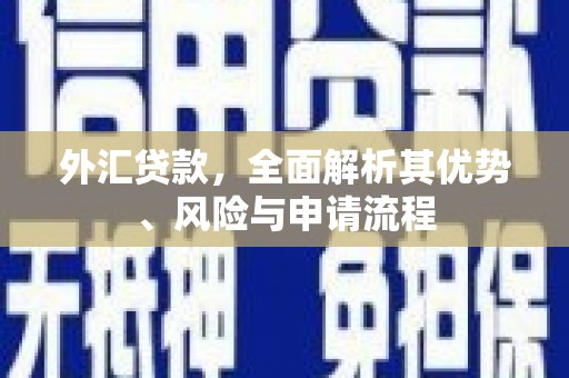 普兰外汇贷款，全面解析其优势、风险与申请流程