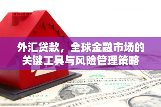 普兰外汇贷款，全球金融市场的关键工具与风险管理策略