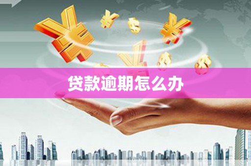 普兰贷款逾期怎么办
