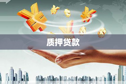 普兰质押贷款