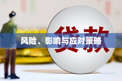普兰风险、影响与应对策略