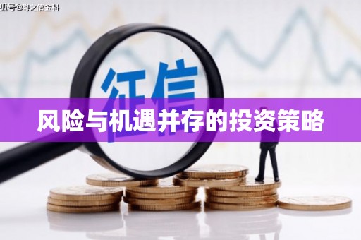 普兰风险与机遇并存的投资策略