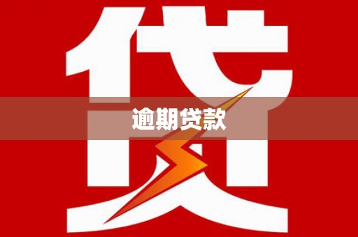 普兰逾期贷款