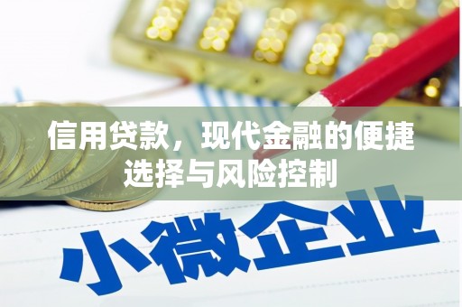 普兰信用贷款，现代金融的便捷选择与风险控制
