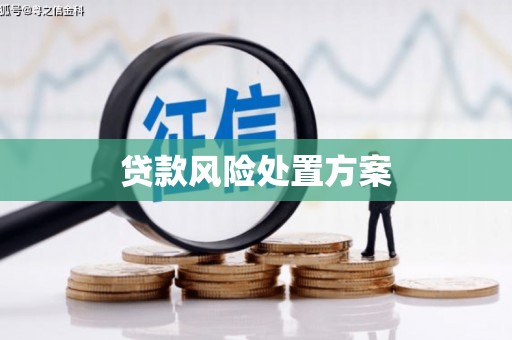普兰贷款风险处置方案