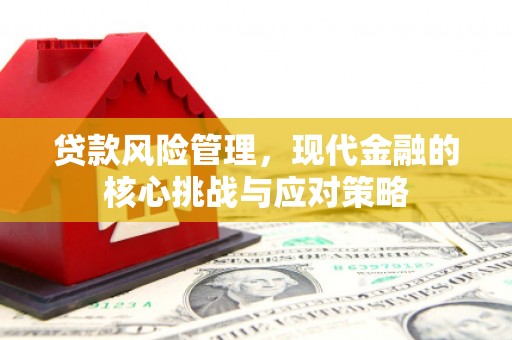 普兰贷款风险管理，现代金融的核心挑战与应对策略