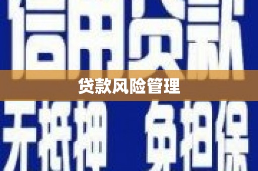 普兰贷款风险管理