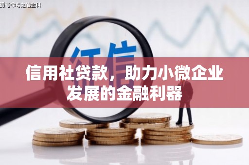 普兰信用社贷款，助力小微企业发展的金融利器
