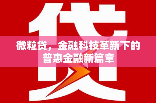 普兰微粒贷，金融科技革新下的普惠金融新篇章