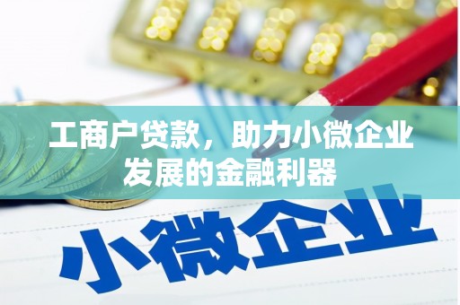普兰工商户贷款，助力小微企业发展的金融利器