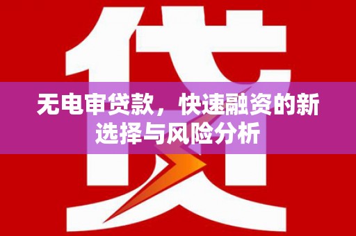 普兰无电审贷款，快速融资的新选择与风险分析