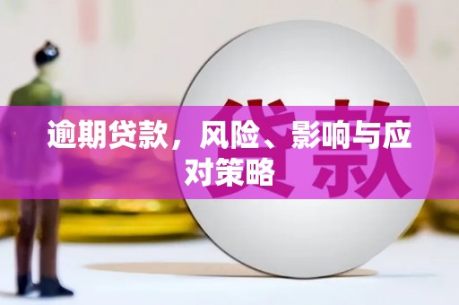 普兰逾期贷款，风险、影响与应对策略