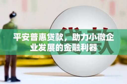 普兰平安普惠贷款，助力小微企业发展的金融利器