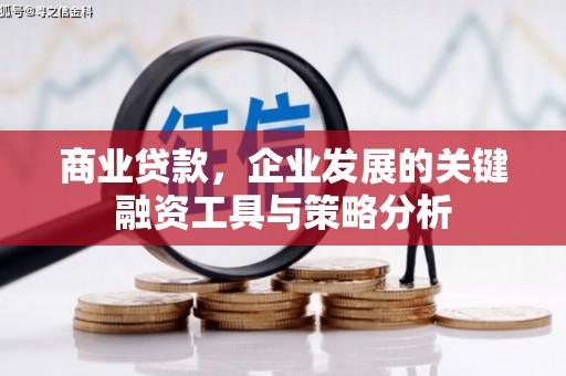 普兰商业贷款，企业发展的关键融资工具与策略分析