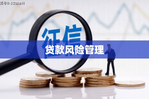普兰贷款风险管理