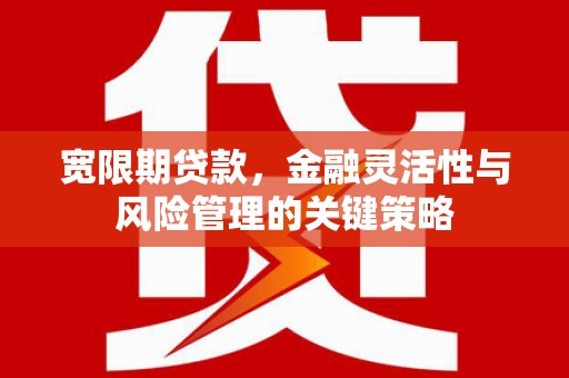 普兰宽限期贷款，金融灵活性与风险管理的关键策略