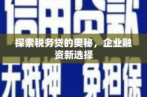 普兰探索税务贷的奥秘，企业融资新选择