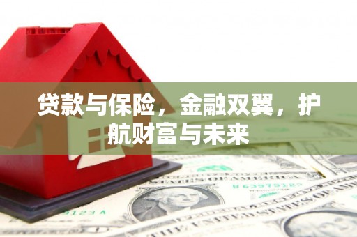 普兰贷款与保险，金融双翼，护航财富与未来
