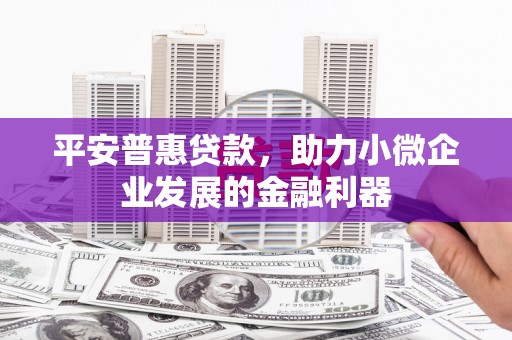 普兰平安普惠贷款，助力小微企业发展的金融利器