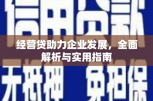 普兰经营贷助力企业发展，全面解析与实用指南