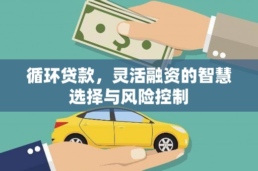 普兰循环贷款，灵活融资的智慧选择与风险控制