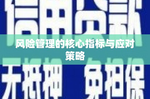 普兰风险管理的核心指标与应对策略