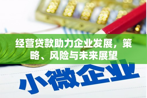 普兰经营贷款助力企业发展，策略、风险与未来展望