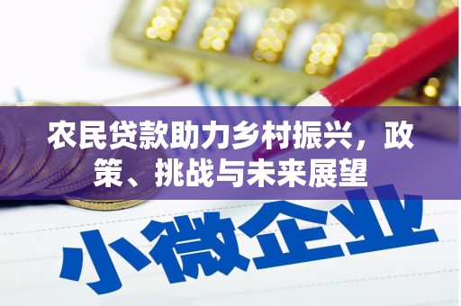 普兰农民贷款助力乡村振兴，政策、挑战与未来展望