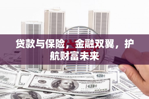 普兰贷款与保险，金融双翼，护航财富未来