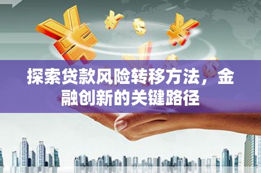 普兰探索贷款风险转移方法，金融创新的关键路径