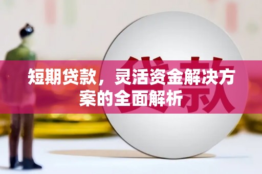 普兰短期贷款，灵活资金解决方案的全面解析
