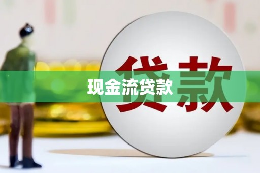 普兰现金流贷款