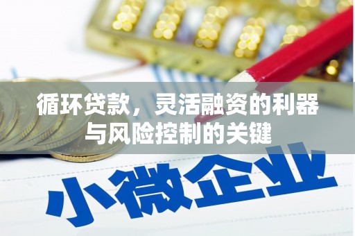 普兰循环贷款，灵活融资的利器与风险控制的关键