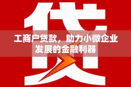 普兰工商户贷款，助力小微企业发展的金融利器