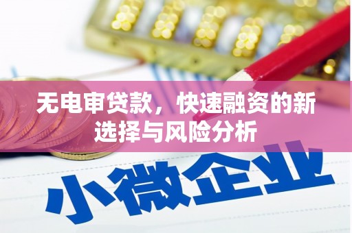 普兰无电审贷款，快速融资的新选择与风险分析