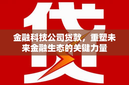 普兰金融科技公司贷款，重塑未来金融生态的关键力量