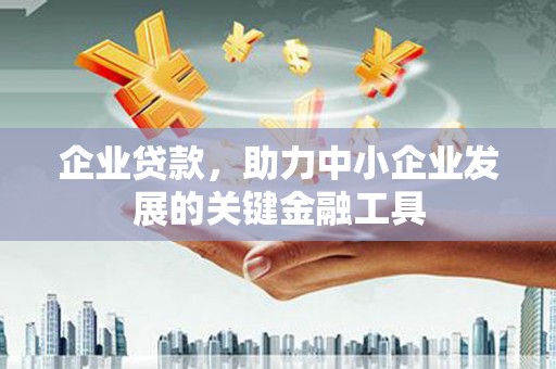 普兰企业贷款，助力中小企业发展的关键金融工具