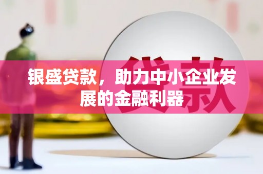 普兰银盛贷款，助力中小企业发展的金融利器