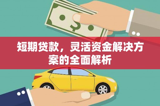 普兰短期贷款，灵活资金解决方案的全面解析