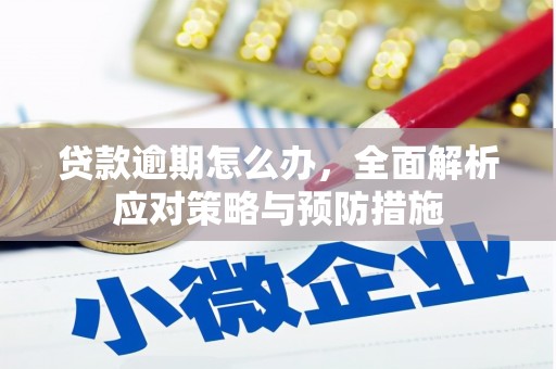 普兰贷款逾期怎么办，全面解析应对策略与预防措施