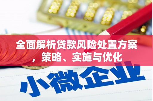 普兰全面解析贷款风险处置方案，策略、实施与优化