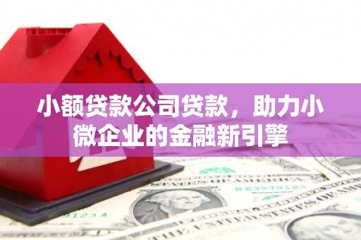 普兰小额贷款公司贷款，助力小微企业的金融新引擎