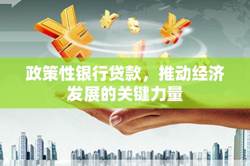 普兰政策性银行贷款，推动经济发展的关键力量