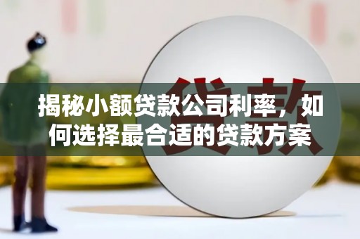 普兰揭秘小额贷款公司利率，如何选择最合适的贷款方案