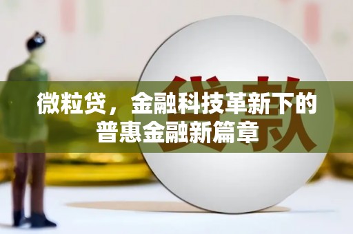 普兰微粒贷，金融科技革新下的普惠金融新篇章