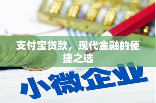 普兰支付宝贷款，现代金融的便捷之选