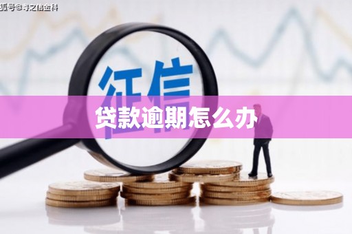 普兰贷款逾期怎么办