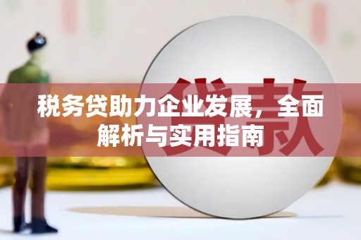 普兰税务贷助力企业发展，全面解析与实用指南