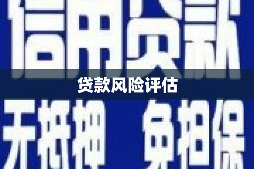 普兰贷款风险评估